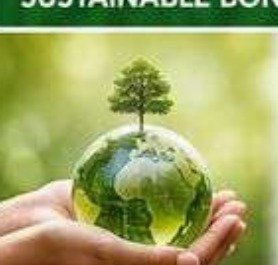 Hands holding a small globe with a tree, symbolising sustainability
